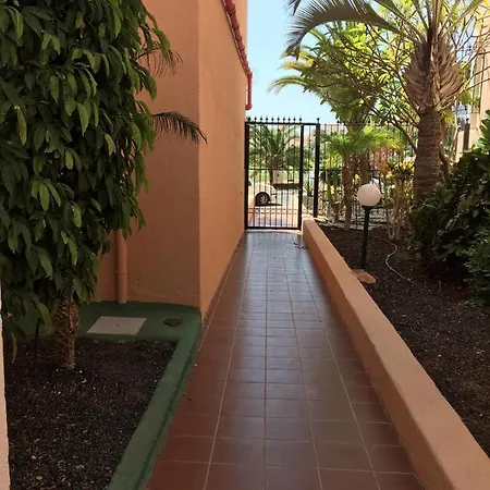 Vero House Terraza De La Paz 公寓 圣米格尔德阿沃纳